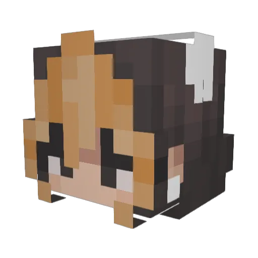 Plummcake Minecraft avatar head, 3D render