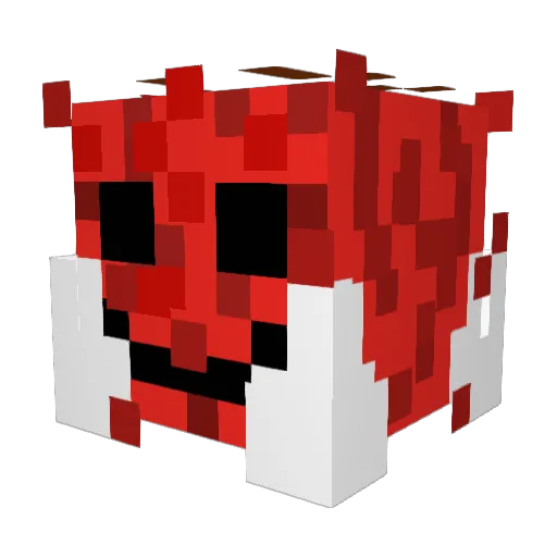 Plungyz Minecraft avatar head, 3D render