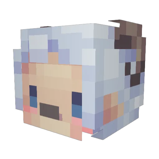 Plupadew Minecraft avatar head, 3D render
