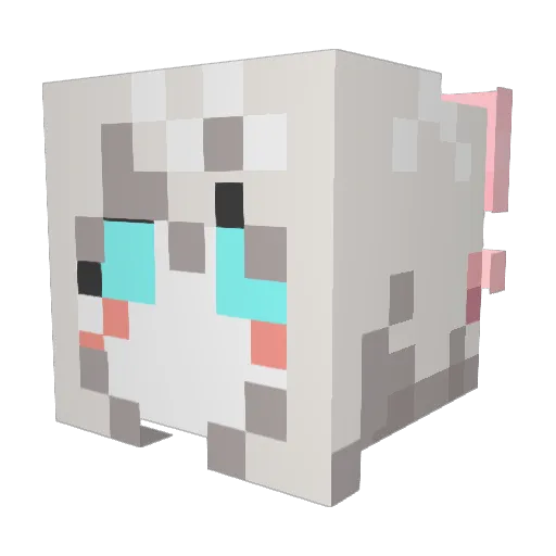 PlusInsta Minecraft avatar head, 3D render