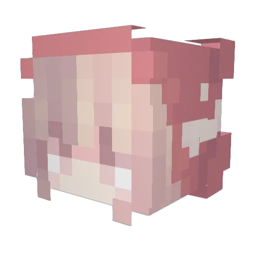 PlusInster Minecraft avatar head, 3D render