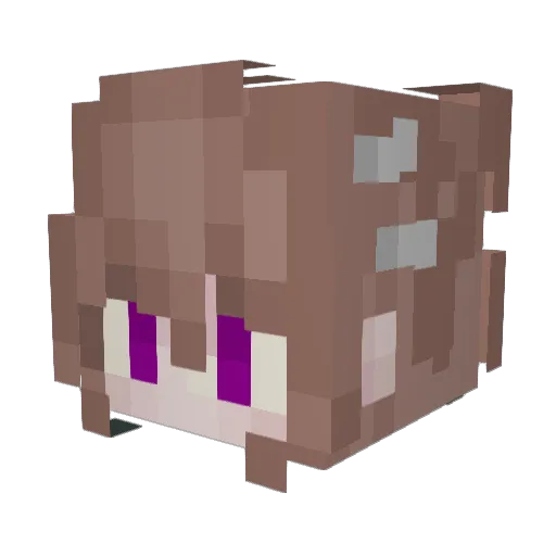 Plus_Dog Minecraft avatar head, 3D render