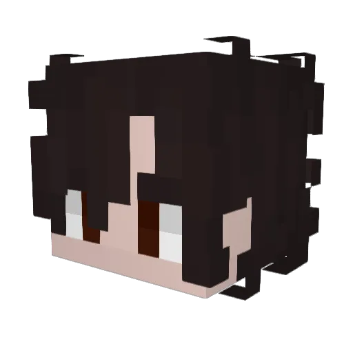 Plush1234321 Minecraft avatar head, 3D render