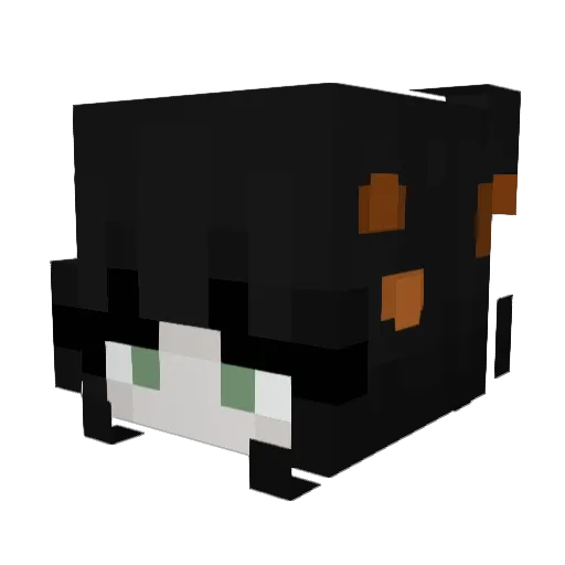 Plut0ne Minecraft avatar head, 3D render