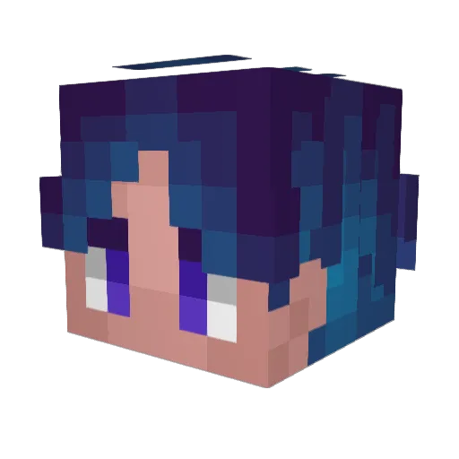 Plutat Minecraft avatar head, 3D render