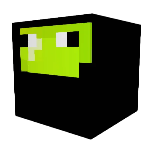 PlutoBurrito252 Minecraft avatar head, 3D render