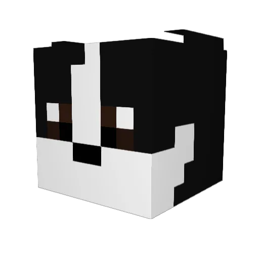 PlutoDaKing Minecraft avatar head, 3D render