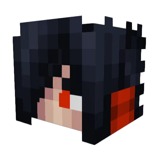 PlutoOtaku Minecraft avatar head, 3D render