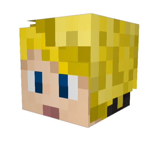 PlutoVAT Minecraft avatar head, 3D render