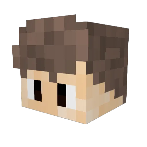 PlutoWho Minecraft avatar head, 3D render