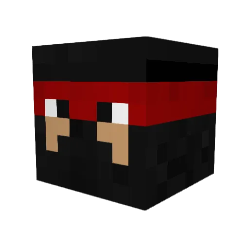 Pluto_Puppie Minecraft avatar head, 3D render
