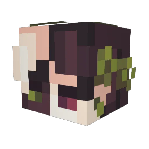 Pluto_is_Great Minecraft avatar head, 3D render