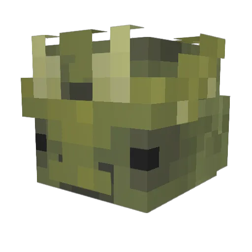 Plutoious Minecraft avatar head, 3D render