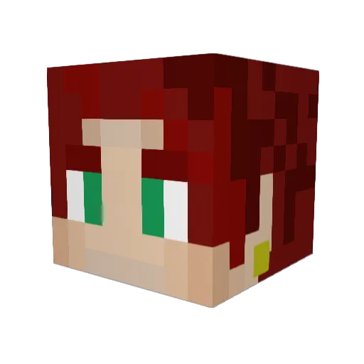 Plutokiller006 Minecraft avatar head, 3D render