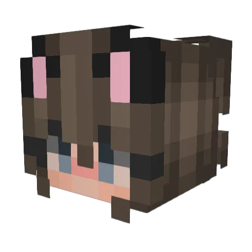 Pluton06 Minecraft avatar head, 3D render