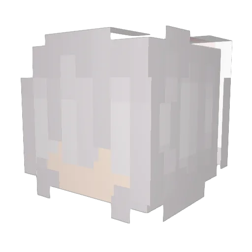 Pluuvi Minecraft avatar head, 3D render