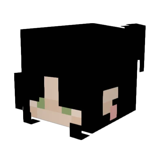 Pluvio6969 Minecraft avatar head, 3D render