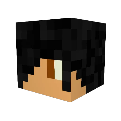 Plx3L Minecraft avatar head, 3D render