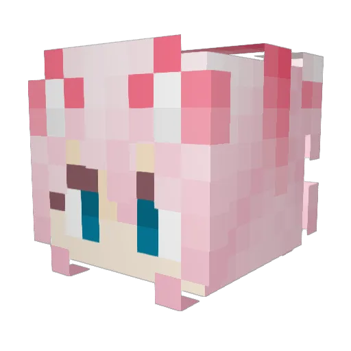 PlxyboiRy Minecraft avatar head, 3D render