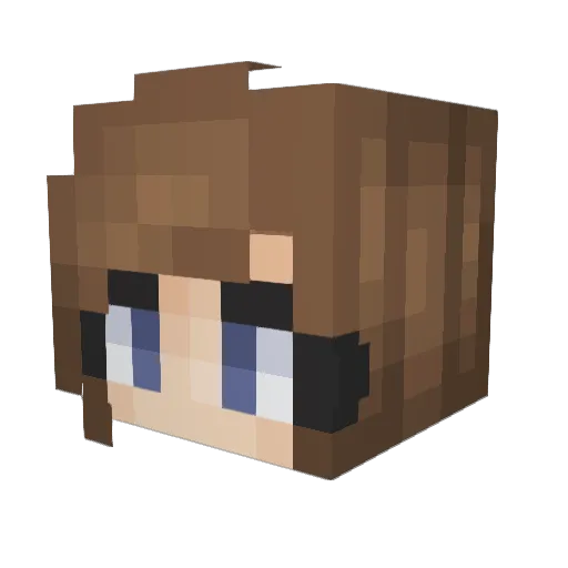 Plywhale Minecraft avatar head, 3D render