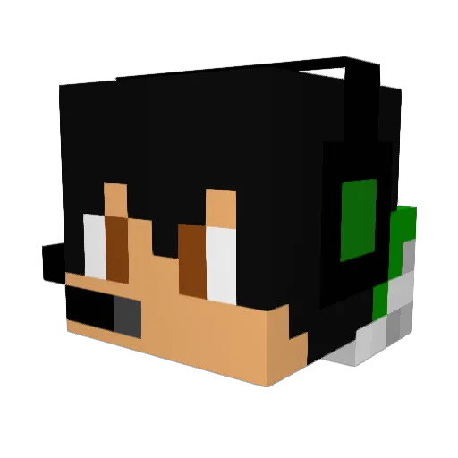 PlzDontHack Minecraft avatar head, 3D render