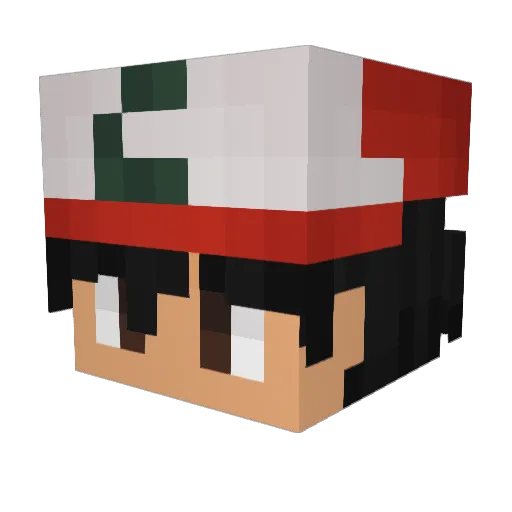 PlzMeMore Minecraft avatar head, 3D render