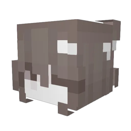 Pmaw Minecraft avatar head, 3D render