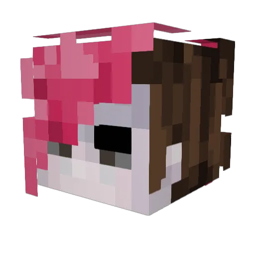 Pmon5 Minecraft avatar head, 3D render