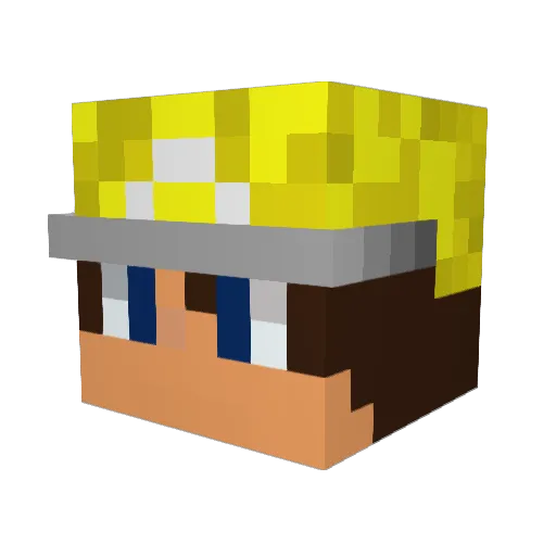 Pmxgamer2000 Minecraft avatar head, 3D render