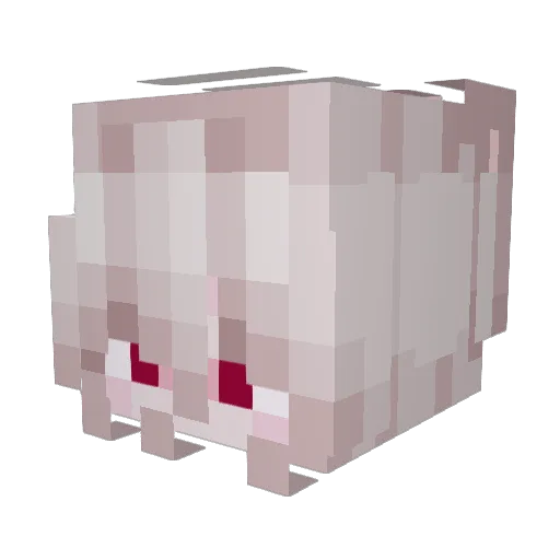 PnGSnowman Minecraft avatar head, 3D render