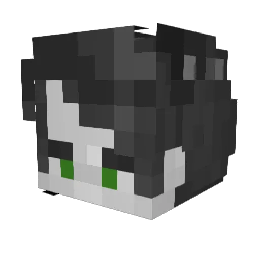 PnSvRt Minecraft avatar head, 3D render