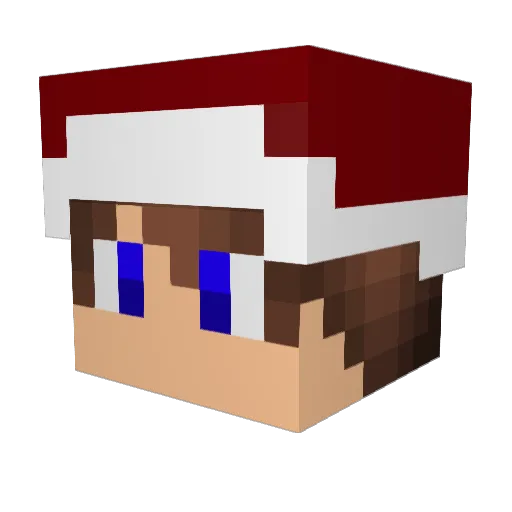 Pn_Pompom Minecraft avatar head, 3D render