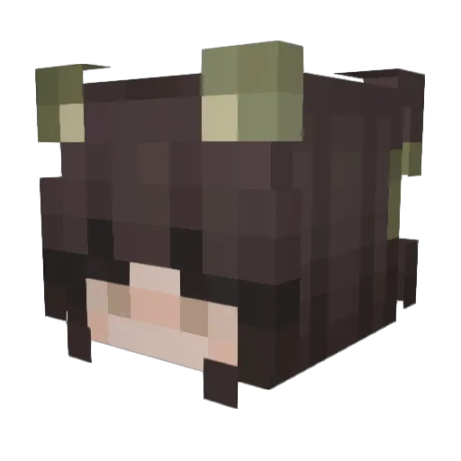 PndaBread Minecraft avatar head, 3D render