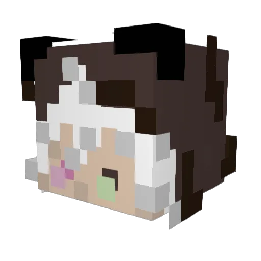 Pndle Minecraft avatar head, 3D render