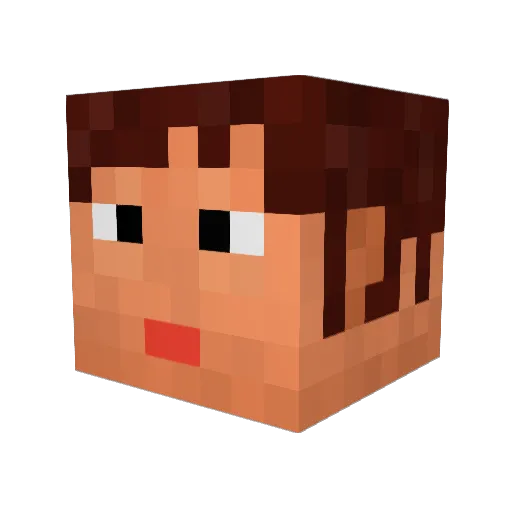 Pnellie2003 Minecraft avatar head, 3D render
