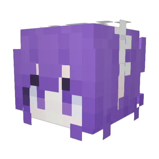 Pnidl0_irl Minecraft avatar head, 3D render