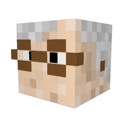 Pnin Minecraft avatar head, 3D render