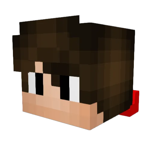Pniokk Minecraft avatar head, 3D render