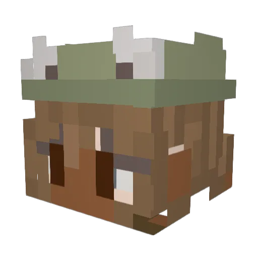 PnkishLmon Minecraft avatar head, 3D render