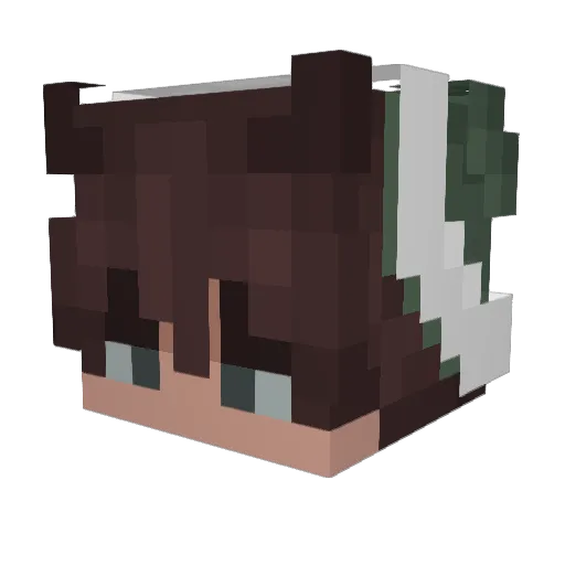 Po1e Minecraft avatar head, 3D render
