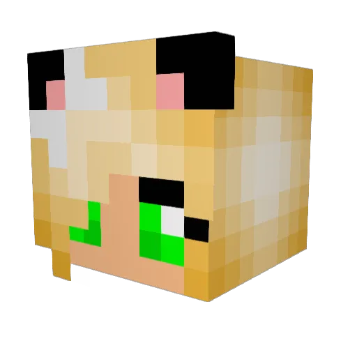 PoFMieze Minecraft avatar head, 3D render