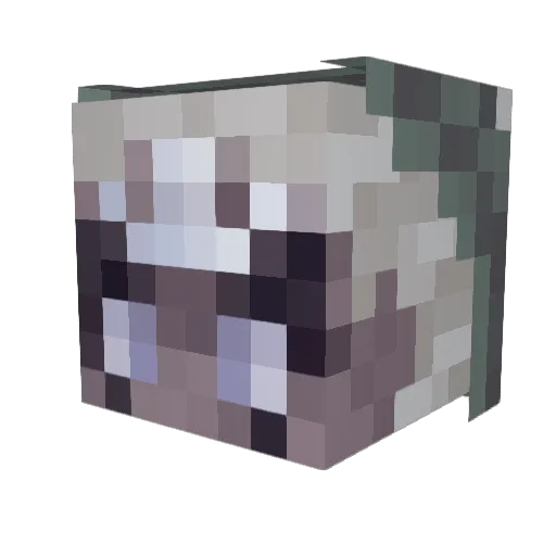 PoIarus Minecraft avatar head, 3D render