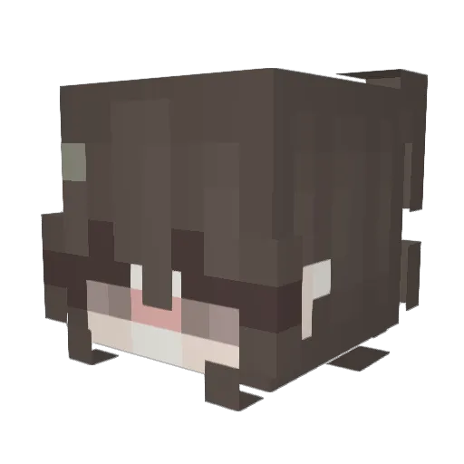 PoIk4 Minecraft avatar head, 3D render