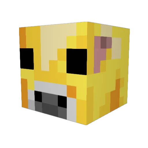 PoKerBaBy102 Minecraft avatar head, 3D render