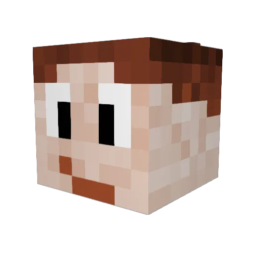 PoL1Z1STENS0H Minecraft avatar head, 3D render