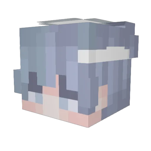 PoLaBrar Minecraft avatar head, 3D render