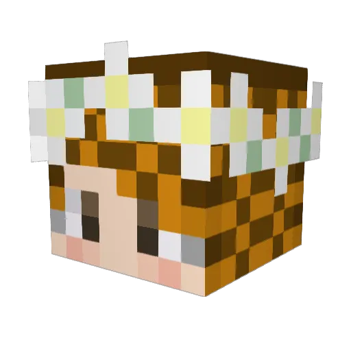 PoPoChong Minecraft avatar head, 3D render