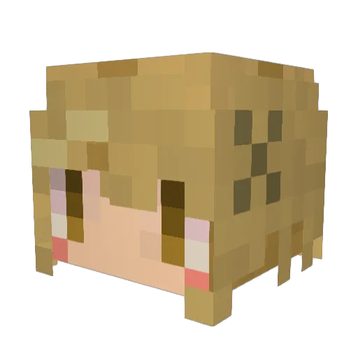 PoPoLi333 Minecraft avatar head, 3D render