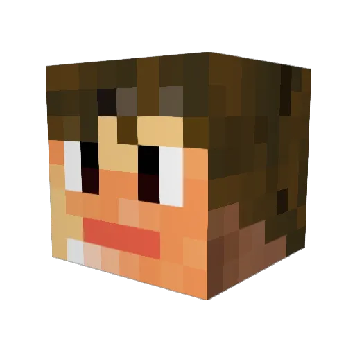 Po_Sk Minecraft avatar head, 3D render