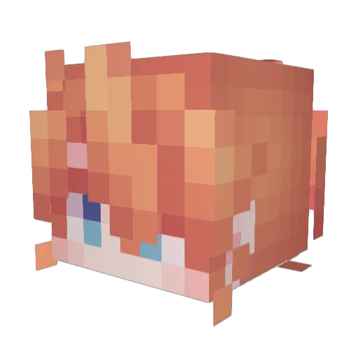 Po__fU Minecraft avatar head, 3D render